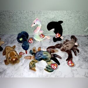 Beanie Baby Lot of 6 Ocean & Desert Animals with Tags